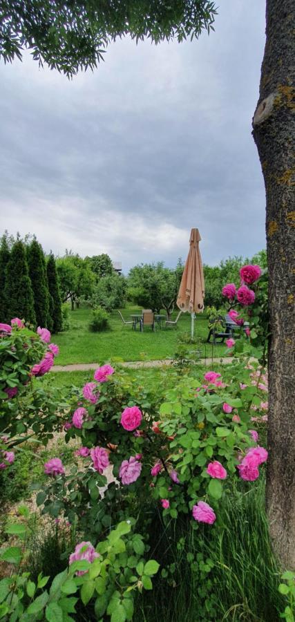 Forest Inn Izvorani Extérieur photo