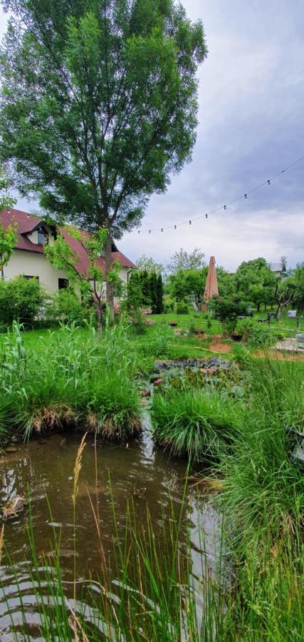 Forest Inn Izvorani Extérieur photo